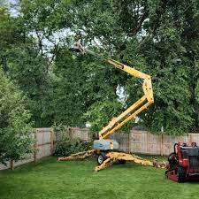 Best Commercial Tree Services  in Koontz Lake, IN